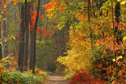 Herbst