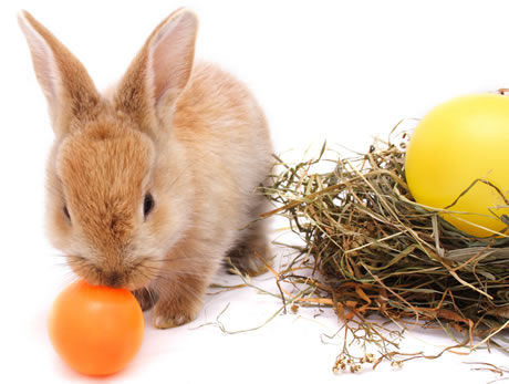 Ostern